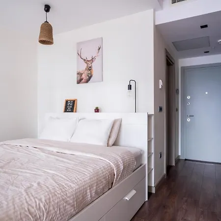 Flat W View 5 Min To Mall Of * 伊斯坦布尔